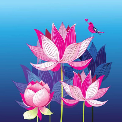 VEERAVI lotus,kamal gatta Seed(11 per packet)