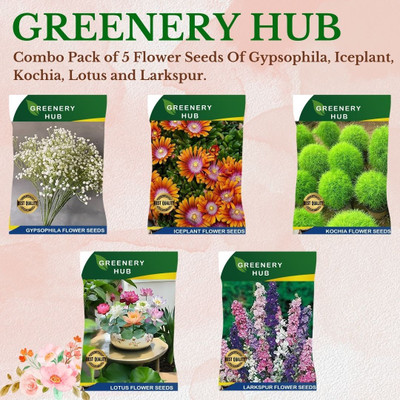 Greenery Hub 5-in-1 Garden Seed Combo for Home Gardening Seed(5 per packet)