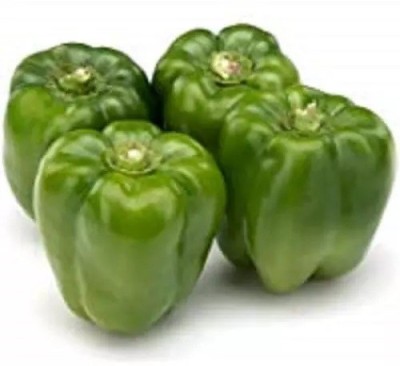 VASUDHA Capsicum Green/Bell Pepper Seed(250 per packet)