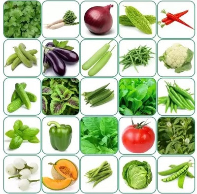 CRGO Summer Hybrid Vegetable Seeds With Instruction Manual (Pack of 10 Variety) Seed(2000 per packet)