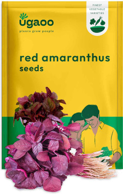 UGAOO Red Amaranthus Vegetable Seed(10 g)