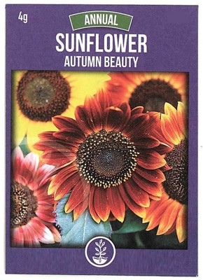 Biosnyg Sunflower Seeds - Autumn Beauty[100 Seeds] Seed(100 per packet)