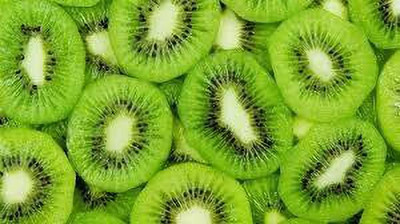 XOLDAA KIWI FRUIT SEEDS HYBRID F1 QUALITY Seed(104 per packet)
