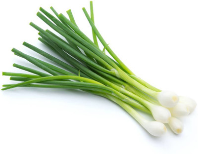 CYBEXIS Green Onion Seeds2000 Seeds Seed(2000 per packet)