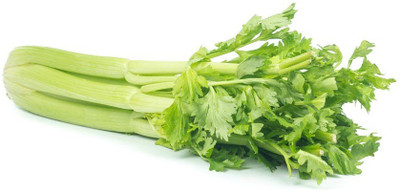 CYBEXIS CELERY 700 Seeds Seed(700 per packet)