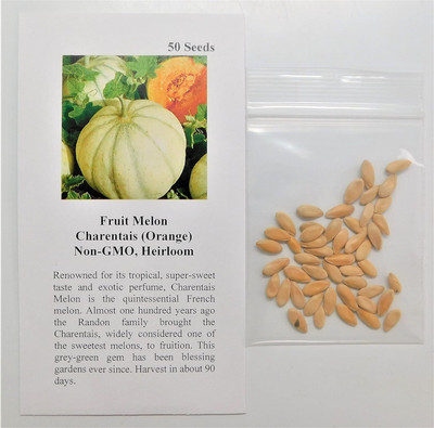 Qualtivate HXL-7AT Musk Melon Charentais (Orange) Seed(200 per packet)