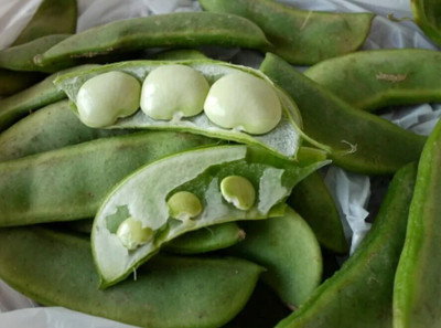 Pbevergreen Lima beans (Phaseolus lunatus) Sem Phali Seed(105 per packet)