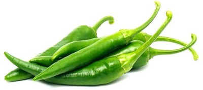 granthi Chilly/Green Chilli Seed(1800 per packet)