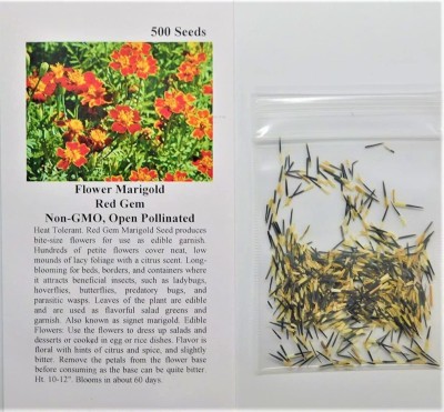 Qualtivate KGF -454 Marigold Red Gem Seed(500 per packet)