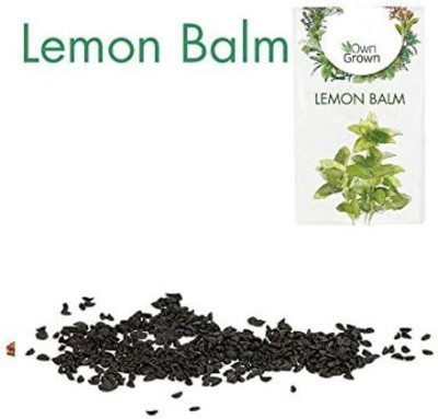 CYBEXIS Lemon Balm Seed(800 per packet)