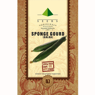 CYBEXIS Green Sponge Gourd Seeds800 Seeds Seed(800 per packet)