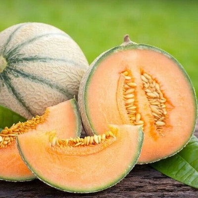 Arshiayat Musk Melon Vegetable Seeds Seed(15 per packet)