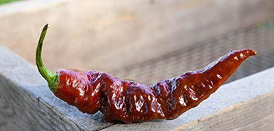 Biosnyg Bhut Jolokia Ghost Pepper Seeds for Terrace Gardening-(2000 Seeds) Seed(2000 per packet)