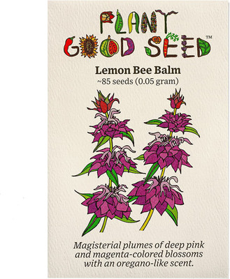 VibeX LX-30 - Lemon Bee Balm (Monarda citriodora) - (750 Seeds) Seed(750 per packet)