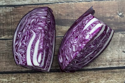 CYBEXIS Danish cabbage2000 Seeds Seed(2000 per packet)