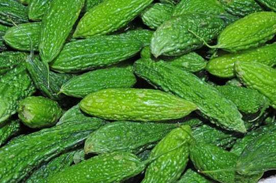 Oliver F1 BEST QUALITY BITTER GOURD SEEDS Seed(27 per packet)