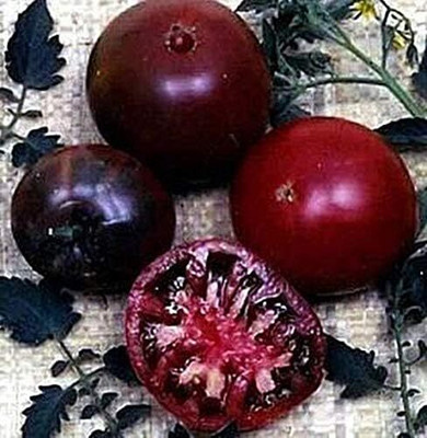 Biosnyg Disease-Resistant Black Russian Tomato Seeds For Hydrophonics - (2000 Seeds) Seed(2000 per packet)