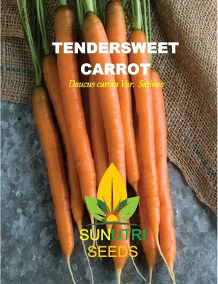 VibeX ® LXI-452 Carrot Seeds, Tendersweet Seed(500 per packet)