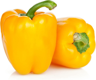 KNESSiN Organic Asti Giallo Yellow Capsicum Seeds For Planting-(200 Seeds) Seed(200 per packet)