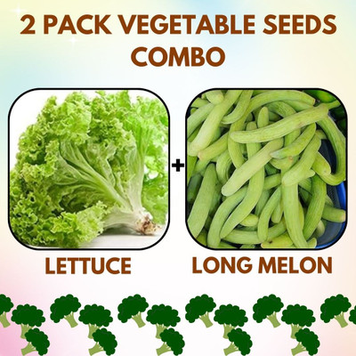 Infiniteseeds 2 Pack Combo Of Lettuce And Long Melon Vegetable Seeds Seed(50 per packet)