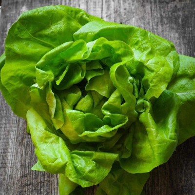 VibeX ® XLR-414 Bibb BUTTERHEAD Lettuce Seeds Seed(200 per packet)