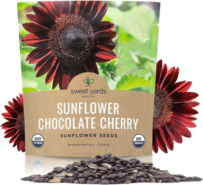 VibeX XL-63 - Chocolate Cherry Sunflower - (1350 Seeds) Seed(1350 per packet)