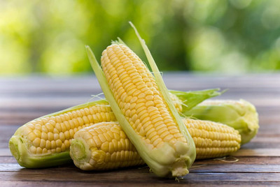 WILLVINE AMR -III Golden Bantam Corn-[1Kg] Seed(4000 per packet)