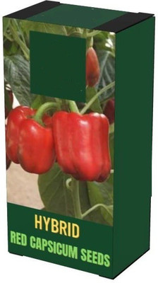 VibeX TLX-7 - Premium Hybrid Red Capsicum - (1350 Seeds) Seed(1350 per packet)