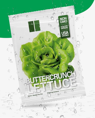 Quentova Buttercrunch Lettuce 2.5gm Seed(2000 per packet)