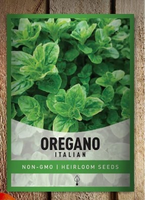 VibeX XLL-86 - Italian Oregano HERB - (150 Seeds) Seed(150 per packet)