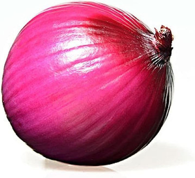 CYBEXIS Rare Nasik Onion Seeds4000 Seeds Seed(4000 per packet)