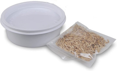 CYBEXIS VVI-21 - Cat Grass(Sweet Oats for Cats) - (1500 Seeds) Seed(1500 per packet)