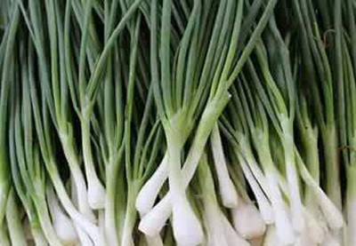 Mozette Organic bunching onion Seed(27 per packet)