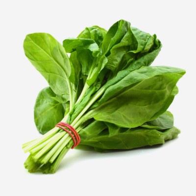 MYLAWN Matador Spinach seeds Seed(400 per packet)