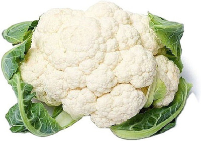 Quentova High Quality White Cauliflower-10L-XII Seed(250 per packet)