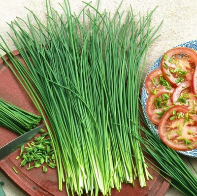 Biosnyg Fast Growing Chives Onion Seeds For Kitchen Gardening-(750 Seeds) Seed(750 per packet)