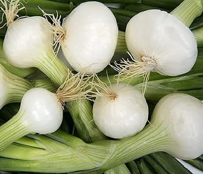 WILLVINE PAU -V Onion Pickling Crystal Wax(White) [1g] Seed(750 per packet)