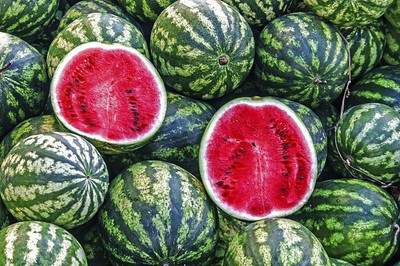 seedkart watermelon plant seed Seed(20 per packet)