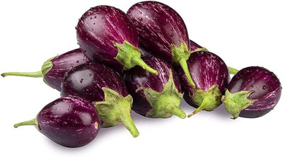 BDSresolve Eggplant seeds for home garden PACK OF 159 Seed(159 per packet)