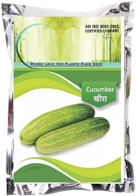 Qualtivate PUA-9A Winter Hybrid Cucumber Seeds Seed(300 per packet)