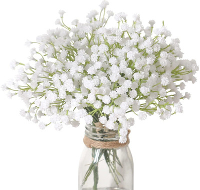Aywal Gypsophila Gypsy Deep Rose Flower Seed(5 g)
