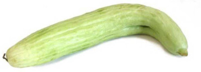 CYBEXIS LXI-5 - Disease Resistant Kakdi / Long Melon - (1350 Seeds) Seed(1350 per packet)