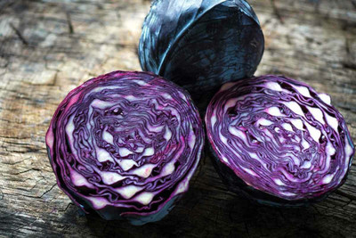 MYLAWN Cabbage Red Acre Giant Seed(100 per packet)