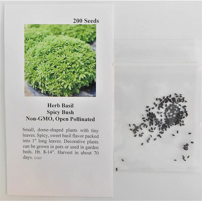 WILLVINE VXI-11 Spicy Globe Basil Seeds Seed(1000 per packet)