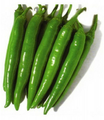 granthi Green Chilli हरी मिर्च Seed(2000 per packet)