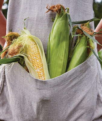 Qualtivate HUA-9A On Deck Sweet Corn Seeds Seed(400 per packet)
