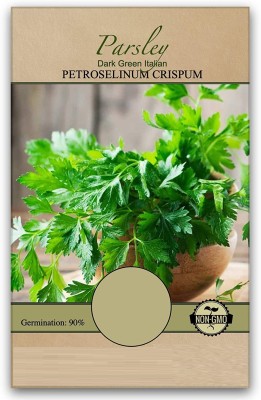 Qualtivate XL-82 Plain Italian Parsley Seeds Seed(500 per packet)