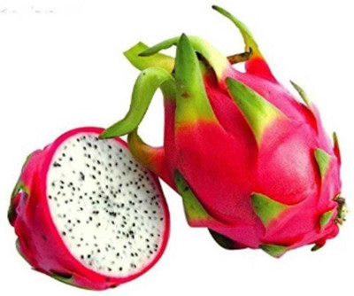 Oliver HIGH Quallity F1 hybrid Dragon fruit sees Seed(75 per packet)
