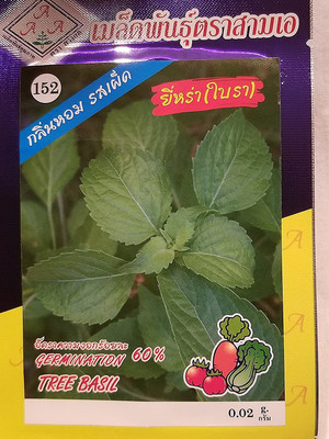 CYBEXIS KGF -88 - Thai Tree Basil - (4500 Seeds) Seed(4500 per packet)