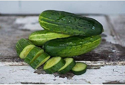 VibeX GBPUT-61 - Spacemaster Cucumber - (150 Seeds) Seed(150 per packet)